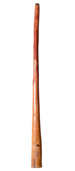 Tristan O'Meara Didgeridoo (TM406)